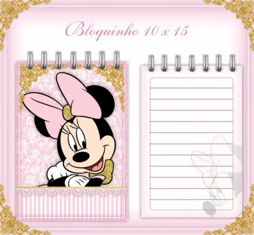 Arquivo Minnie Rosa Caderneta de Saúde