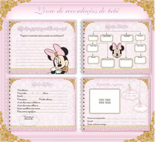 Arquivo Minnie Rosa Caderneta de Saúde