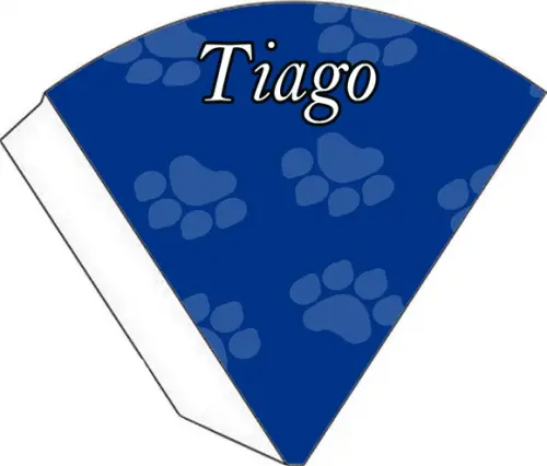 Cone Personalizado - Patrulha Canina