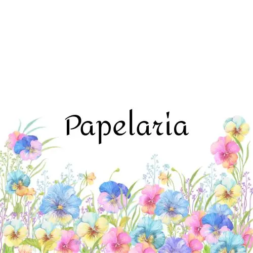 Papelaria