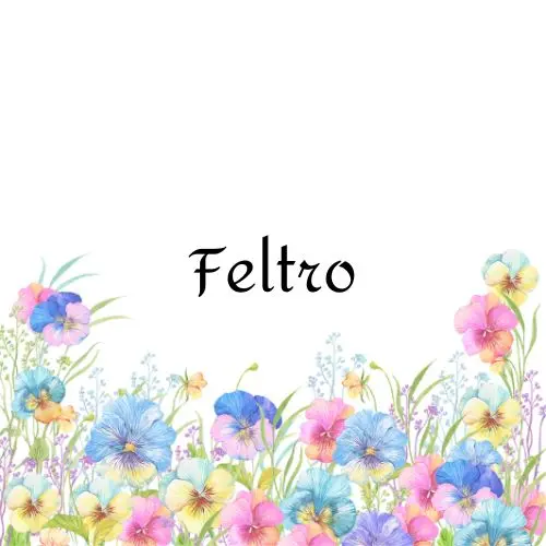 Feltro