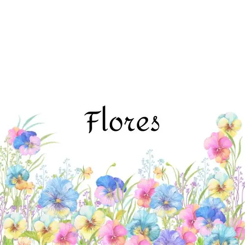 Flores