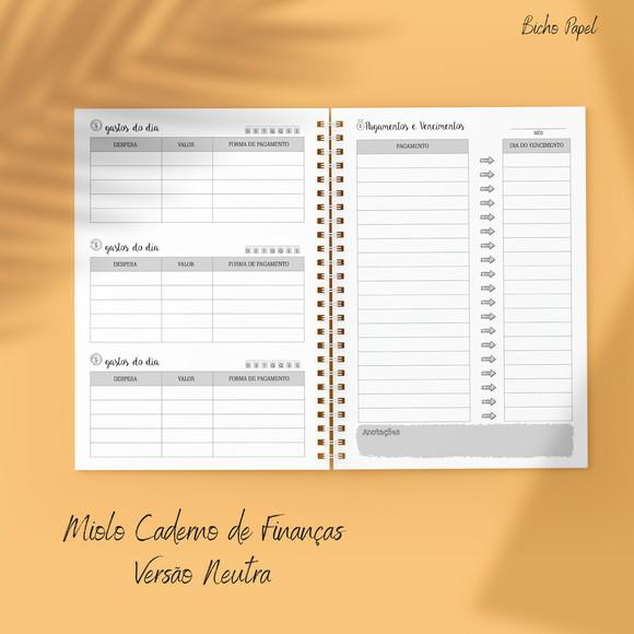 Miolo Planner Financeiro (versão Neutra / Masculina)