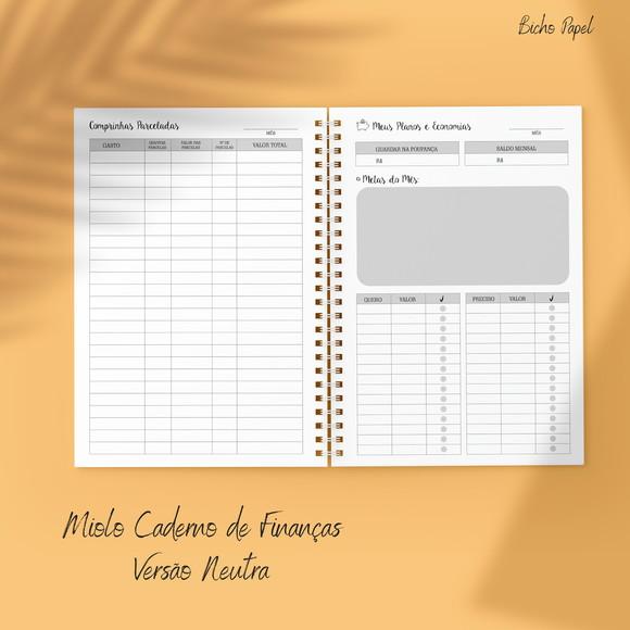 Miolo Planner Financeiro (versão Neutra / Masculina)