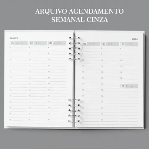 Arquivo Agenda Agendamento Semanal 2026 (não É Por Correio)