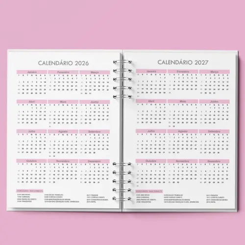 Arquivo Agenda Agendamento Semanal 2026 Rosa