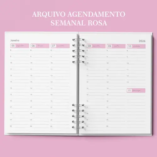 Arquivo Agendamento Semanal 2026 Rosa (não É Por Correio)