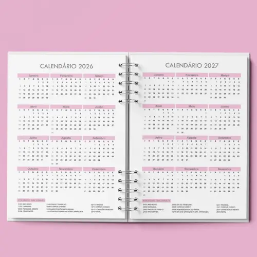 Arquivo Agendamento Semanal 2026 Rosa (não É Por Correio)