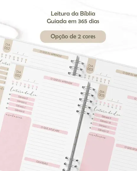 Arquivo Combo Devocional 365 Dias Leitura da Bíblia