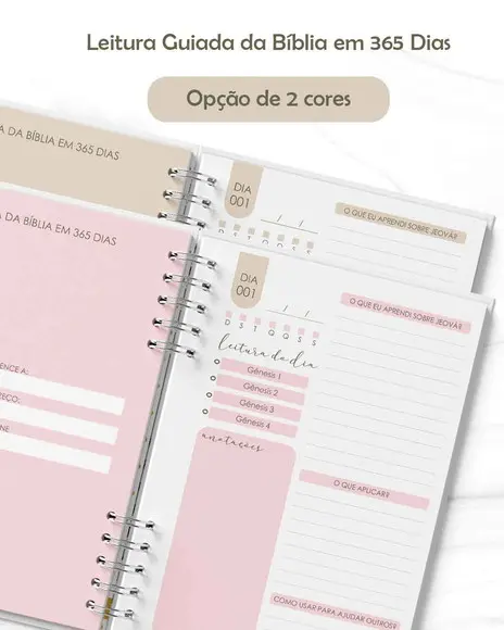 Arquivo Combo Leitura Bíblía Jw 365 Dias (envio É Por Link)