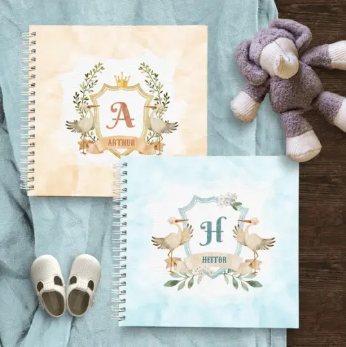 Arquivo Combo Livro do Bebê 20×22 Menino 108 Capas Alfabeto