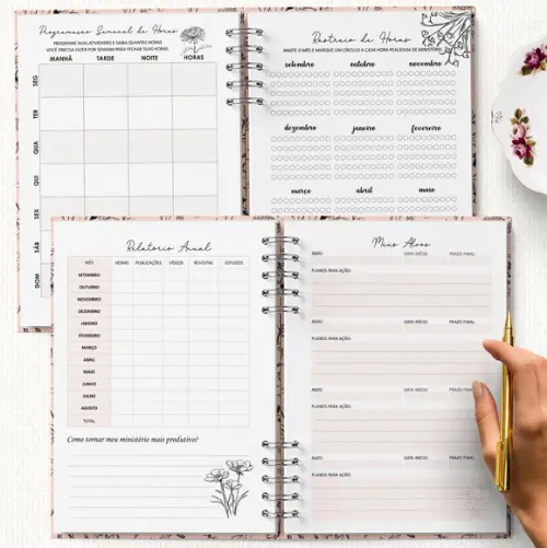 Arquivo Kit Planner Pioneira Ano de Serviço e 2026 Completo