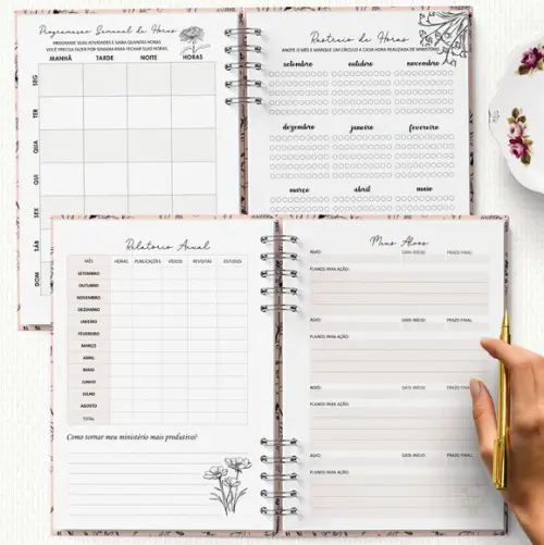 Arquivo Kit Planner Pioneira Ano de Serviço e 2026 Completo