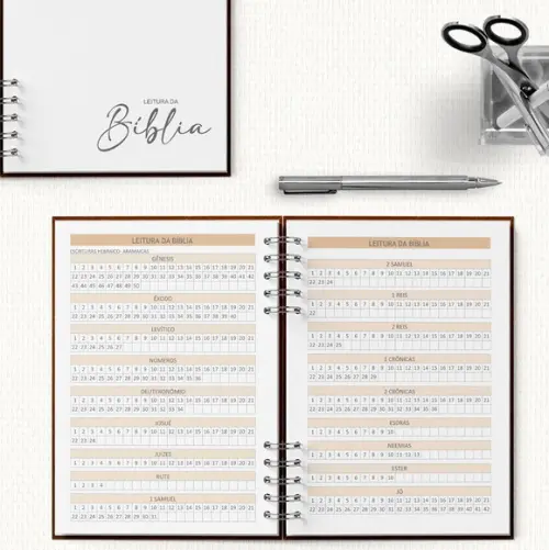 Arquivo Kit Planner Pioneiro Ano Serviço e 2026 Completo