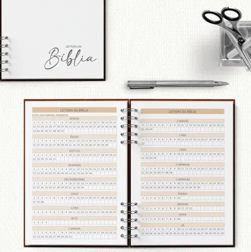 Arquivo Kit Planner Pioneiro Ano Serviço e 2026 Completo