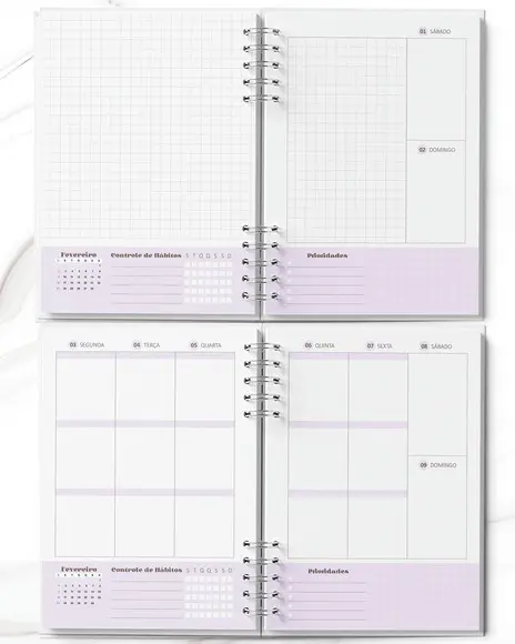 Arquivo Miolo Planner 2025 Color