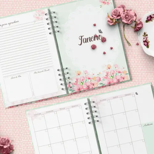 Arquivo Planner Devocional Anne de Green Gables