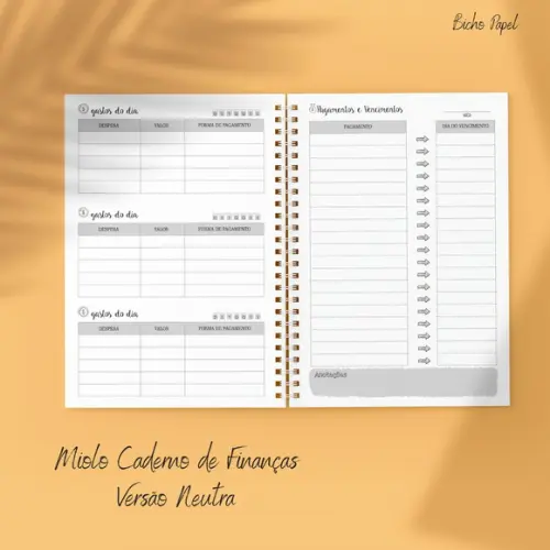 Miolo Planner Financeiro (versão Neutra / Masculina)