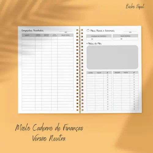 Miolo Planner Financeiro (versão Neutra / Masculina)