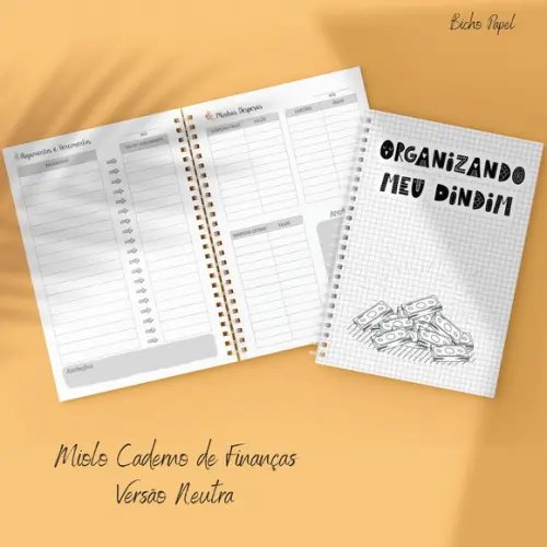 Miolo Planner Financeiro (versão Neutra / Masculina)