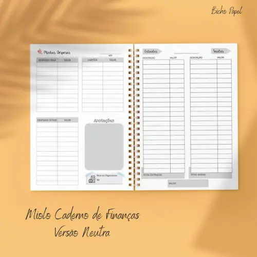 Miolo Planner Financeiro (versão Neutra / Masculina)