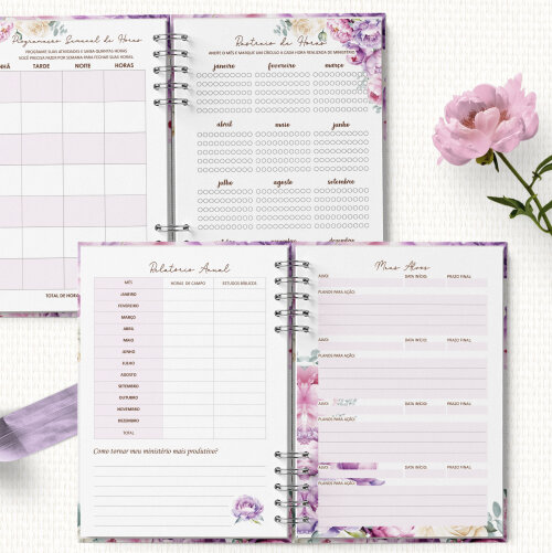 Kit Arquivos Planner da Pioneira SET2026 a AGO2027 e Planner 2027