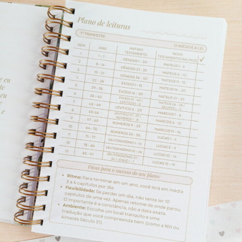 Caderno Devocional Cristão Feminino Meu Tempo com Deus