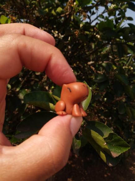 Capivara no Potinho em Biscuit