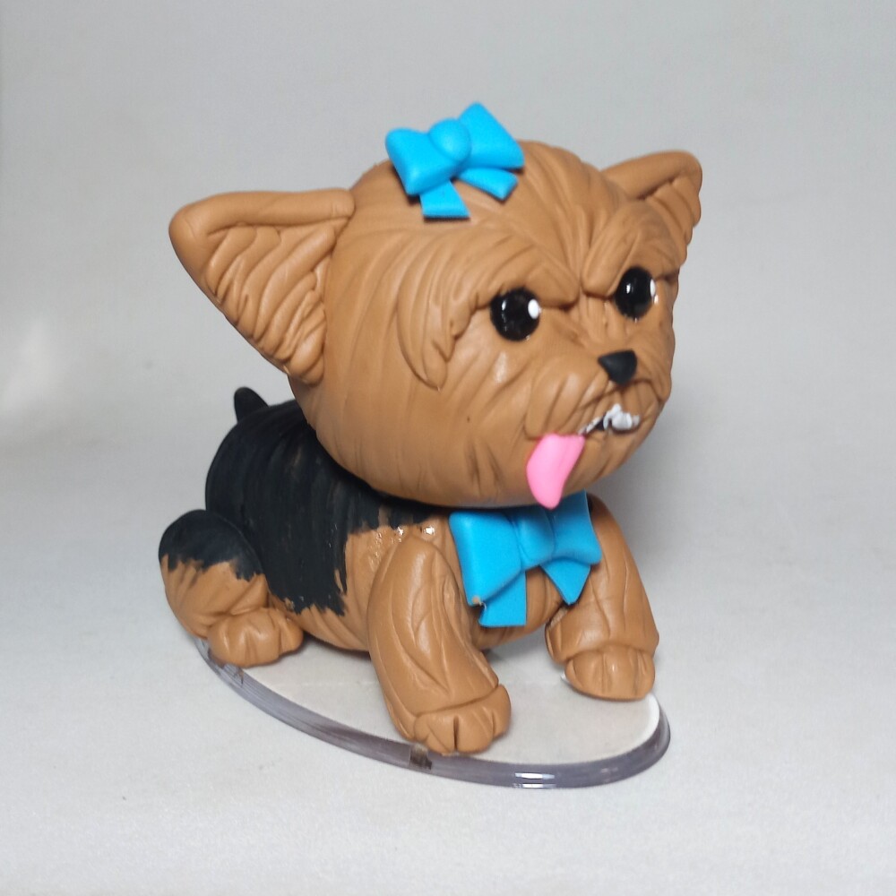Pet de biscuit personalizado