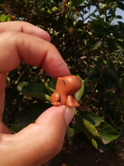 Capivara no Potinho em Biscuit