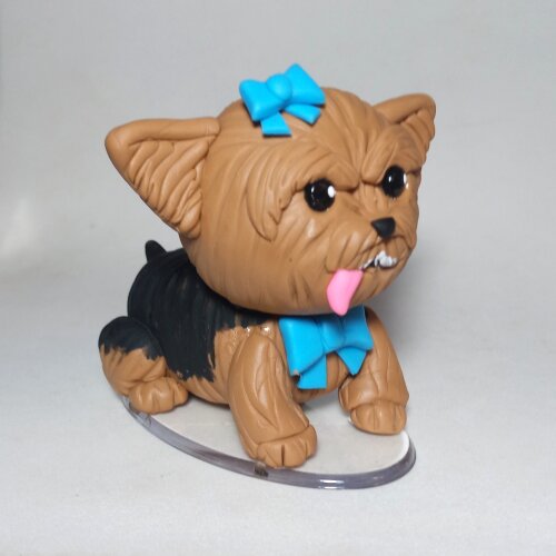 Pet de biscuit personalizado