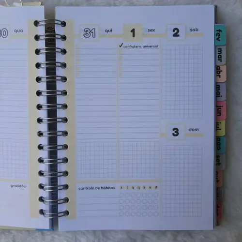 Planner Colorê 2021