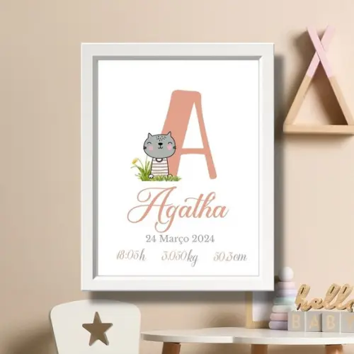 Meu Nascimento Quadro Informações do Bebe com Vidro 33x43 cm