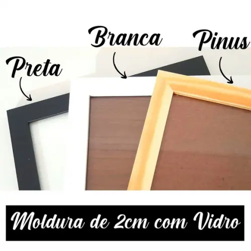 Meu Nascimento Quadro Maternidade Safari Menina 33x43 cm