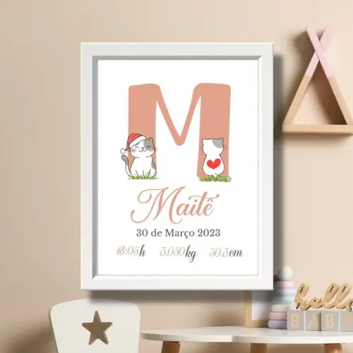 Meu Nascimento Quadro Quarto de Bebe Menina 33x43 com Vidro