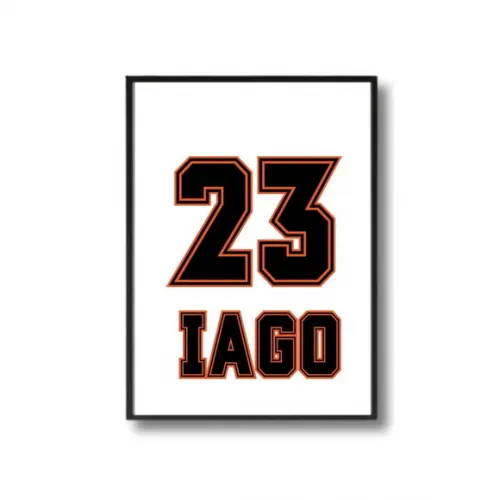 Quadros Quarto de Menino Basquete Moldura com Vidro 33x43cm