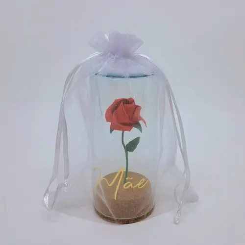 Rosa de Origami na Cúpula de Vidro