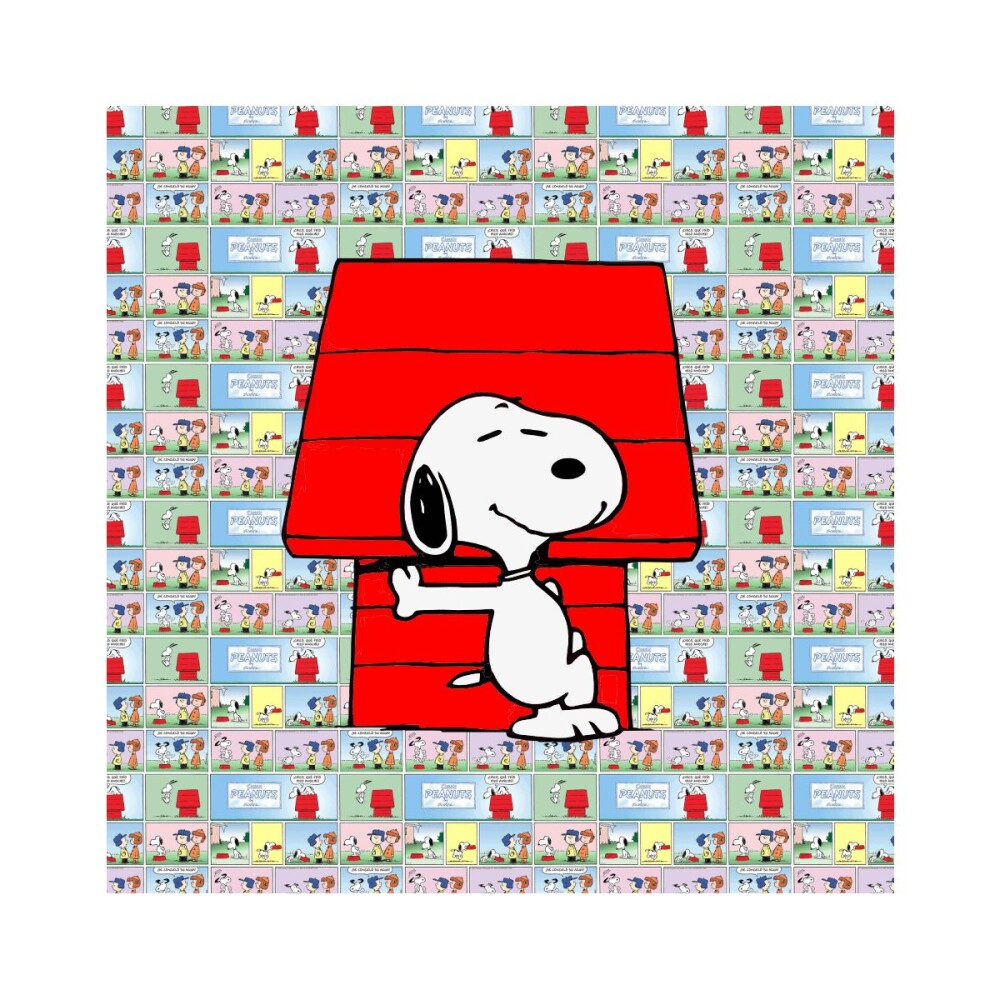 Porta copo/ímã decorativo Snoopy