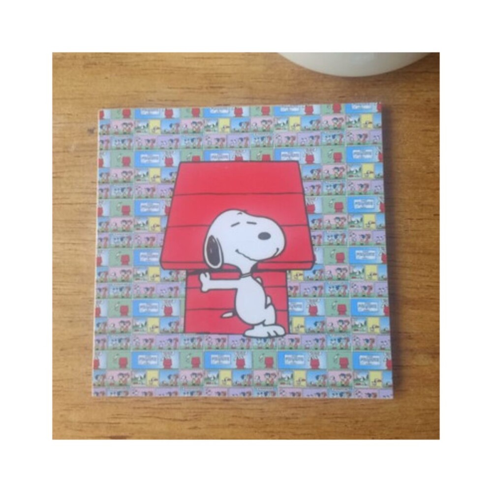 Porta copo/ímã decorativo Snoopy