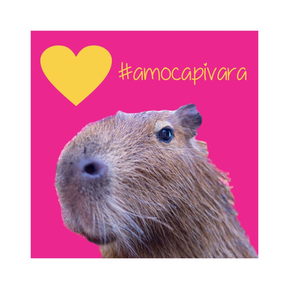 Porta copo/ímã decorativo capivara