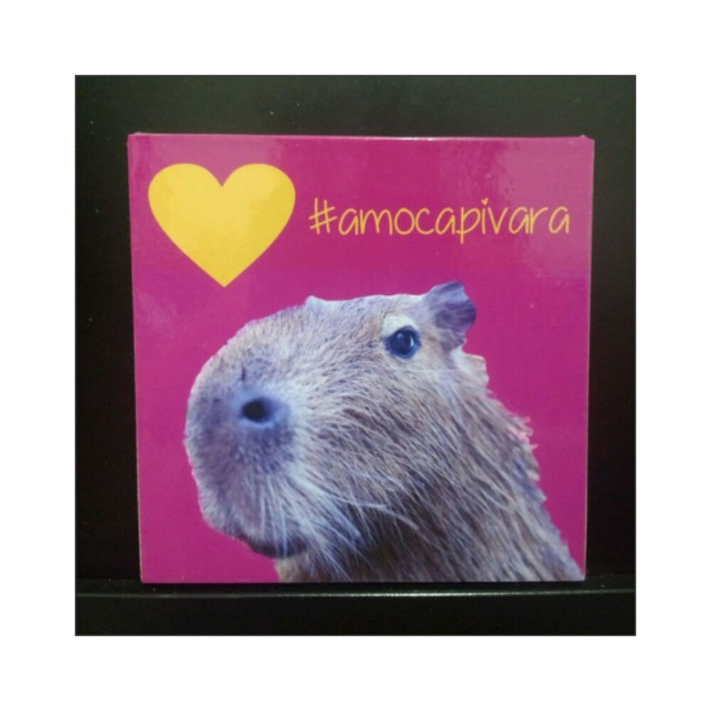 Porta copo/ímã decorativo capivara