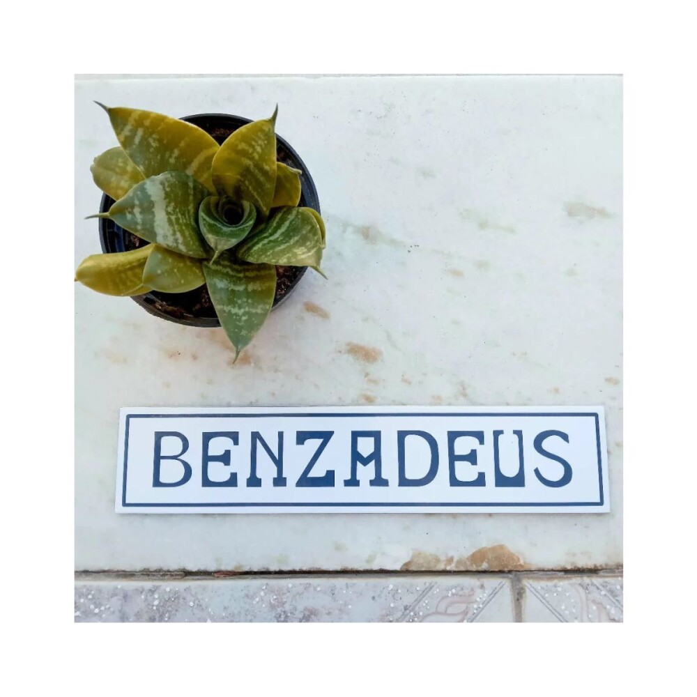 Placa decorativa 6x28 cm Benzadeus