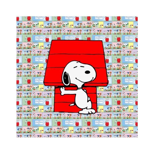 Porta copo/ímã decorativo Snoopy
