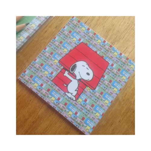 Porta copo/ímã decorativo Snoopy