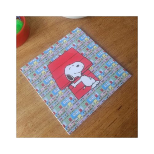 Porta copo/ímã decorativo Snoopy