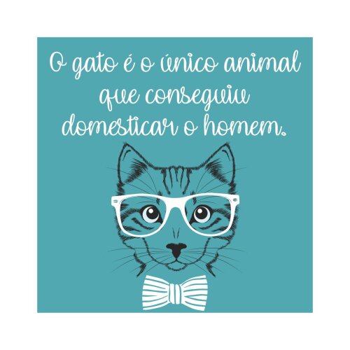 Porta copo/ímã decorativo Gato - Domesticar Homem