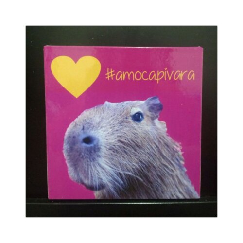 Porta copo/ímã decorativo capivara