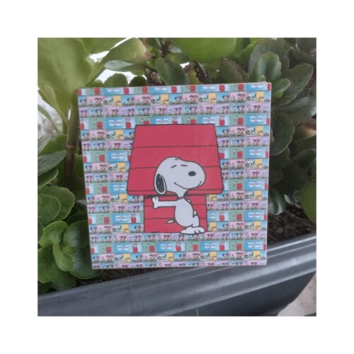 Porta copo/ímã decorativo Snoopy