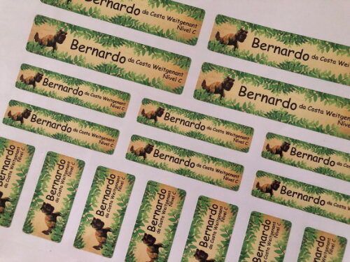 Kit de Etiquetas vinil Dinossauro