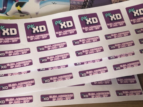 Kit de Etiquetas vinil PK XD